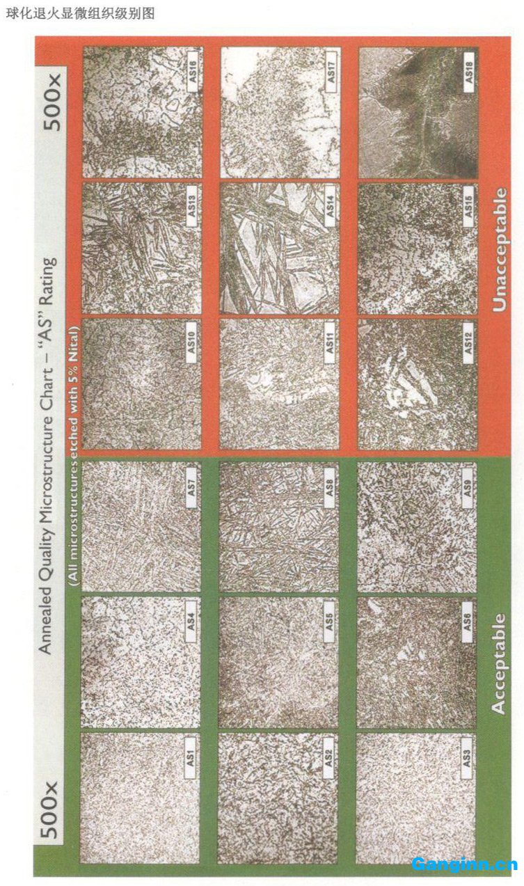 天工TGE13(H13)模具鋼簡介-球化退火顯微組織級別圖 天工TGE13(H13)模具鋼簡介-球化退火顯微組織級別圖